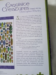 Anyone fancy a new jigsaw thread?