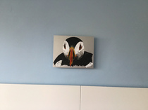 What's your favourite present this Christmas?