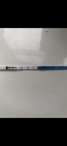 Show me positive opk test strip please so I can see what they need to look like