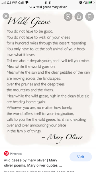 Which poem do you love and why?
