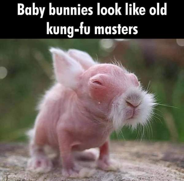 Heading for 💓day with fishy burps & wombs as fluffy as a 70’s bush we say UP YOURS TTC Bus 30