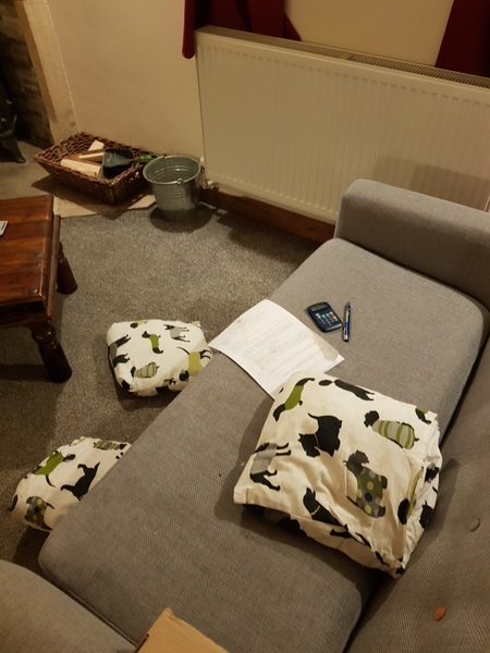 Dogs on the Sofa
