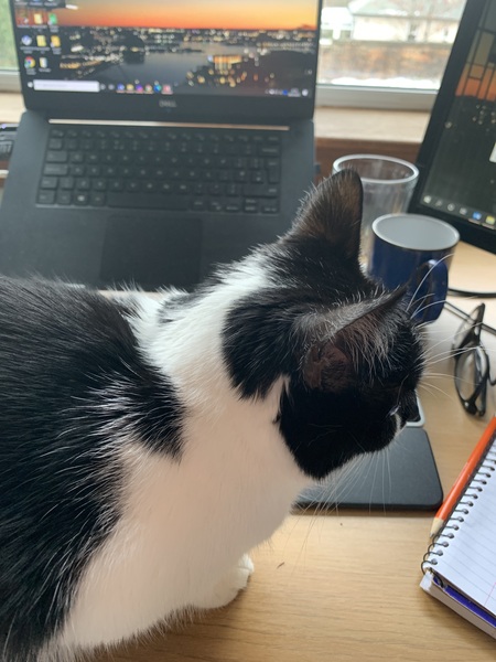 If you WFH, what's on your desk?