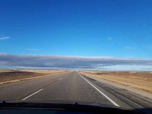 Moving to Canada with a 14 year old