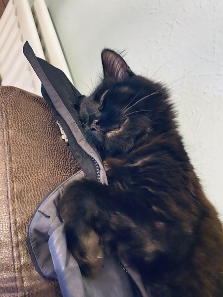 Is that position really comfortable?