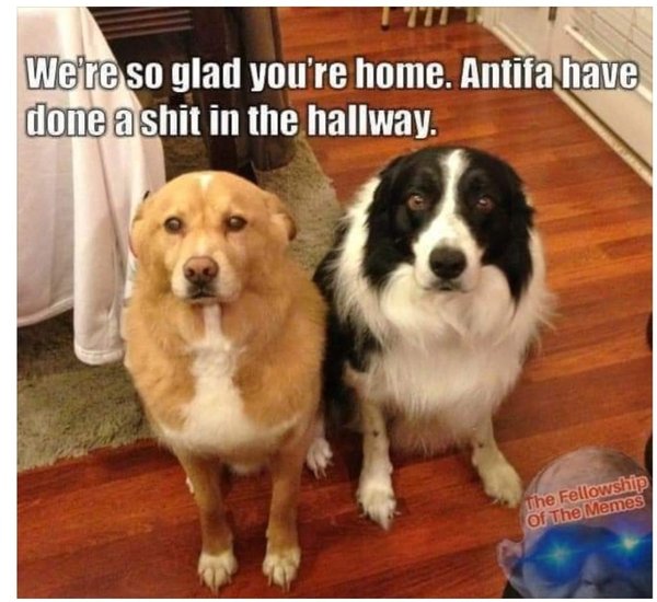 Westministenders: Where's my milk and cheese?