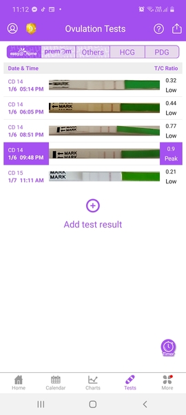 Is this opk positive?