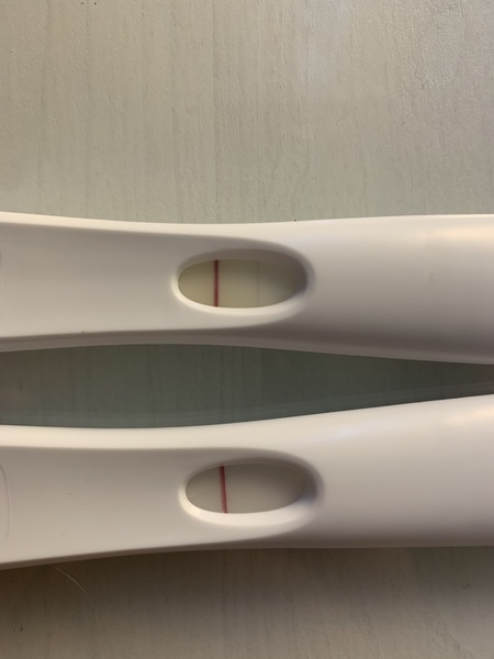 Bfp a few days ago but now bfn?!! No Af