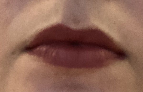 Lipstick Challenge - a different lipstick each day of Jan!