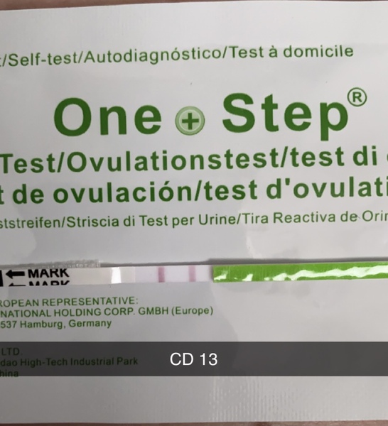 Ovulation tests, ADVICE! Please :)