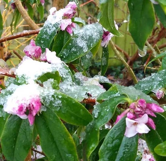 Westminstenders: Move Your Business To The EU