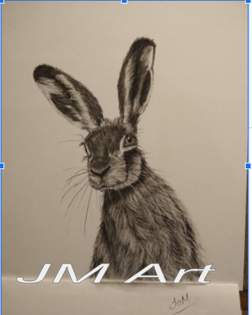 Art Prints vs Original Drawing - Pricing