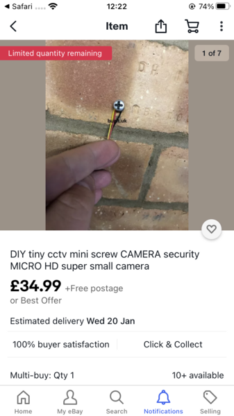 DOE DP/DH just follow them around the house all the time?