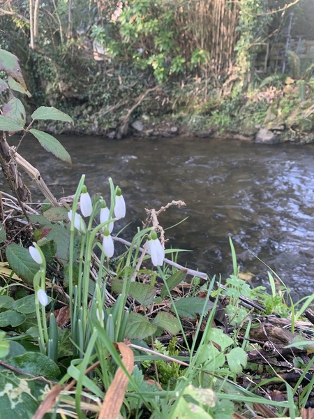 It’s official. Spring is here.