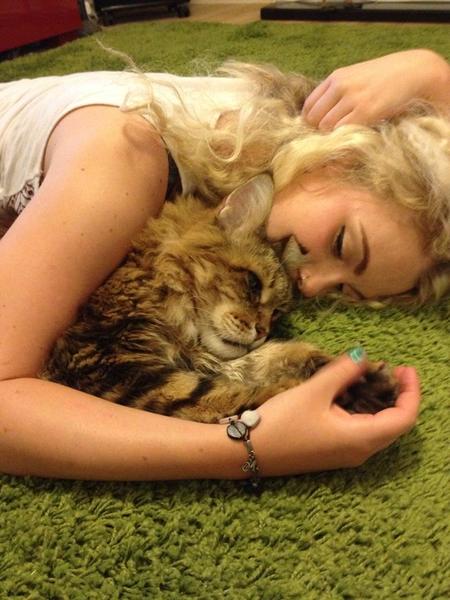 Animal soulmates