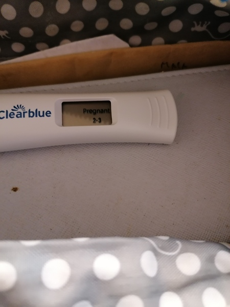 🦕 Catching up - ttc after miscarriage part 5 🦕