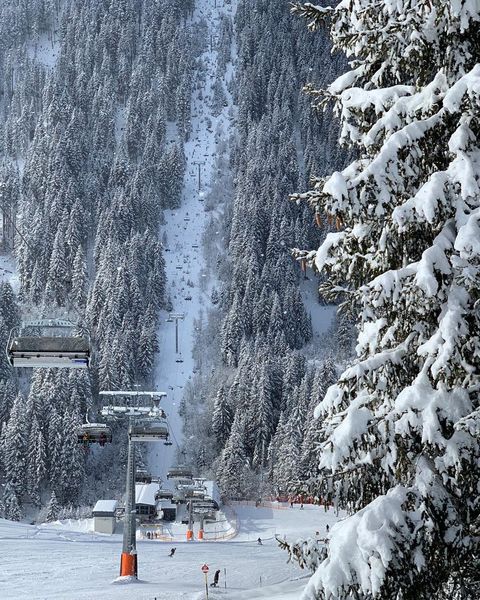 Ski holiday should have started today.
