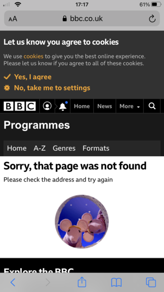 BBC 3 DIY Trans Teens