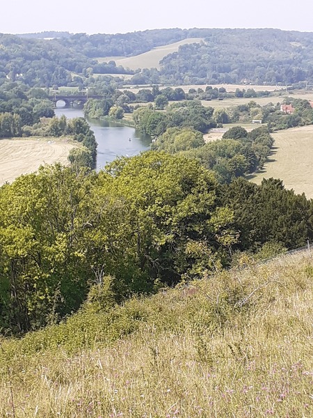 Live along the River Thames