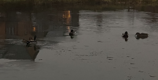 NOT what I expected to wake up to this morning...