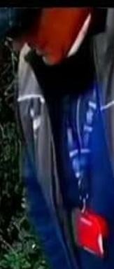 Help identifying a logo please - man caught weeing on CTV