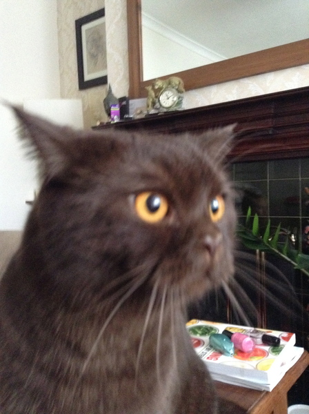 Introducing Henry
