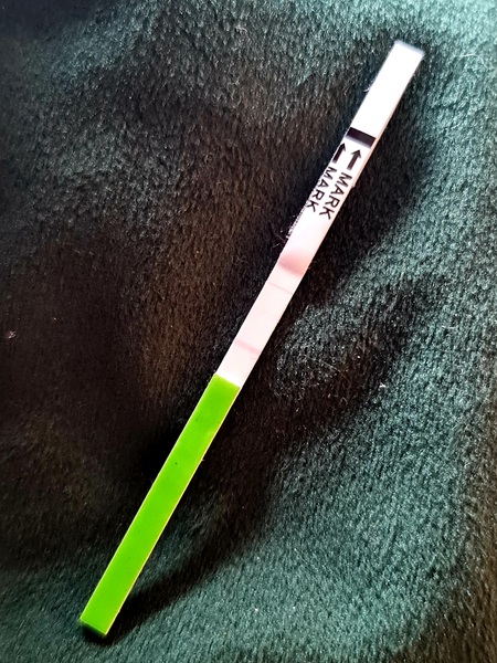 TTC 35+ Thread 5 Cougar and Silver Fox Club