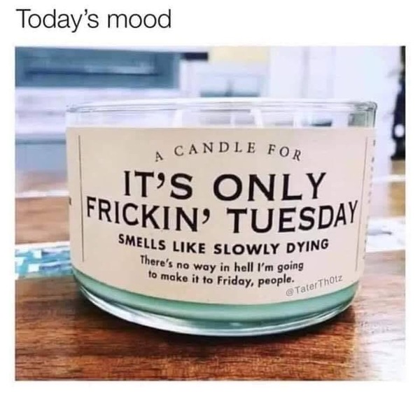 To have lost all motivation for anything