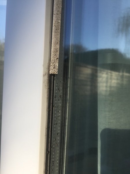 UPVC patio doors