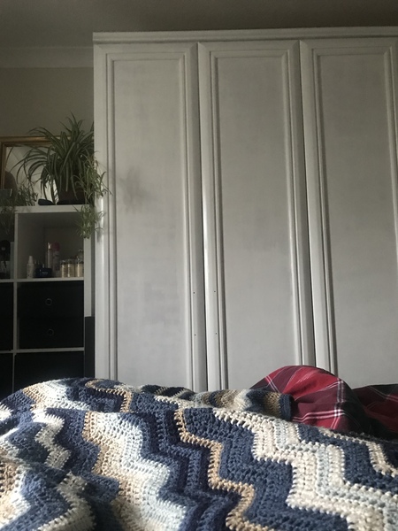 Has anyone painted their wood effect fitted wardrobe doors?