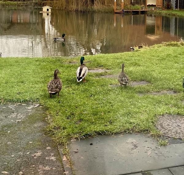 NOT what I expected to wake up to this morning...