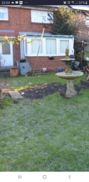 Surprise in your rose garden - Rightmove