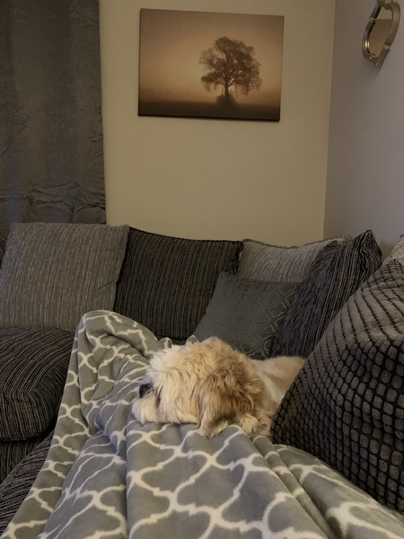 Due February 2021 - Part 3 - Final countdown!