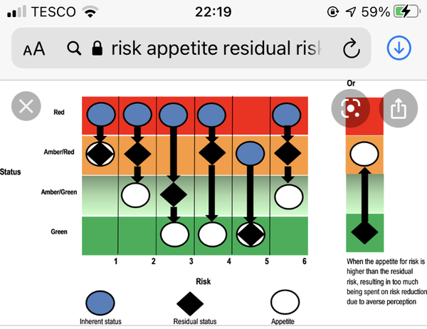 Any risk experts? Plotting risk appetite in relation to residual risk