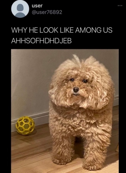 Knit, Crochet and Natter 3: Is it really still January?!