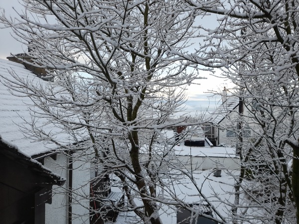 Knit, Crochet and Natter into 2021