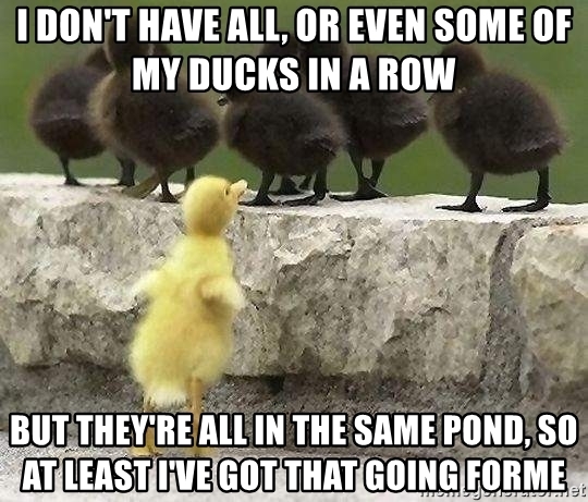 NOT what I expected to wake up to this morning...