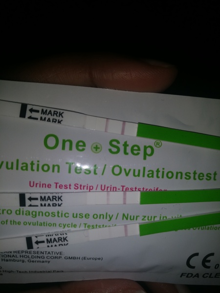 Almost- positive OPK then negatives straight after? (Pics) short surge or didn't ovulate?