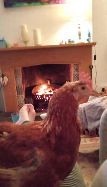 What's something normal in your home but probably weird in others homes?