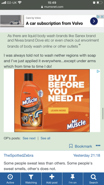 Ads within user posts