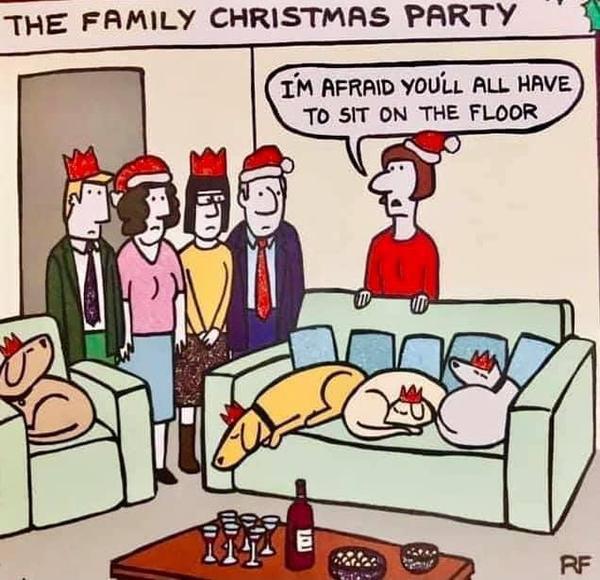 Dogs on the Sofa