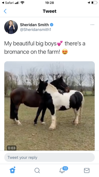 The masked singer returns!