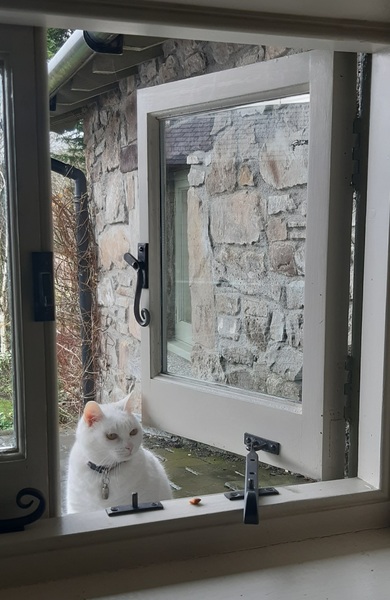 What's your DCat up to today? (Thread 8)