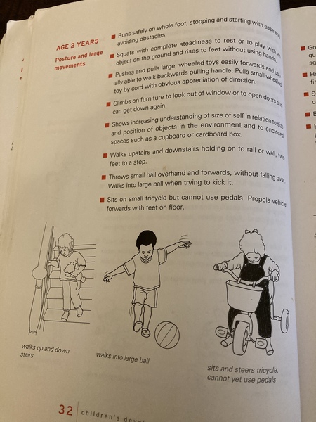 Worried about my 2 year old.