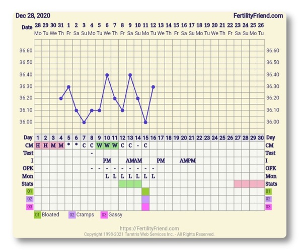 Pre-conception, planning and trying!