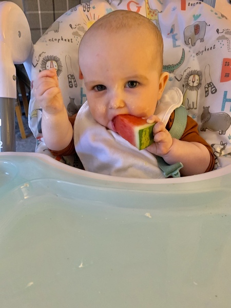 June 2020 Babies-Six months on: mobile babies, feeding adventures, and still sleepless nights! 3rd thread