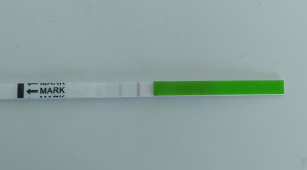 Is this opk positive?