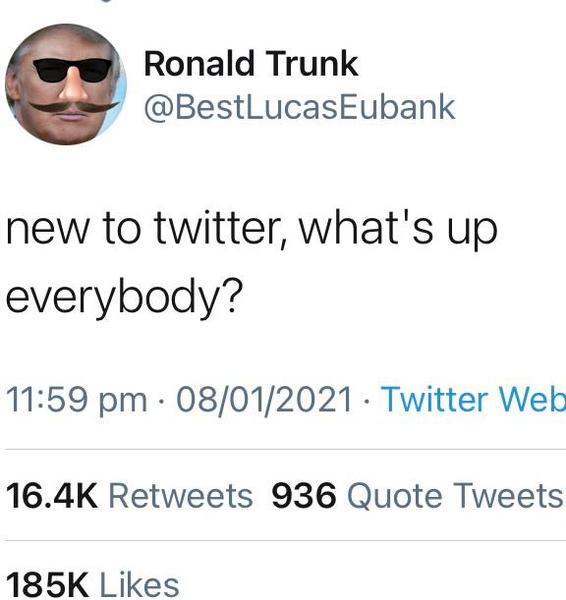 Donald Trump suspended from Twitter