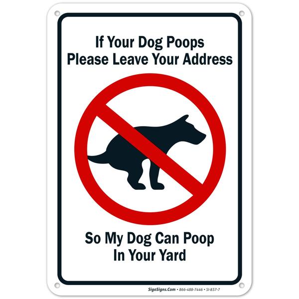 Dog poo-ing on our garden every morning and evening. AIBU to say something?