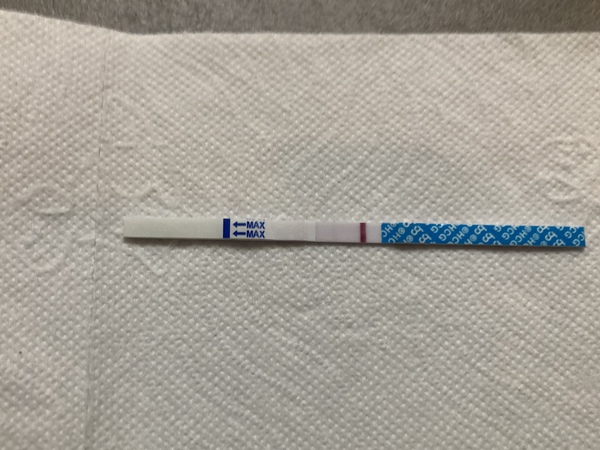 🐧 Penguin Huddle 🐧 Thread 36 - TTC after pregnancy loss